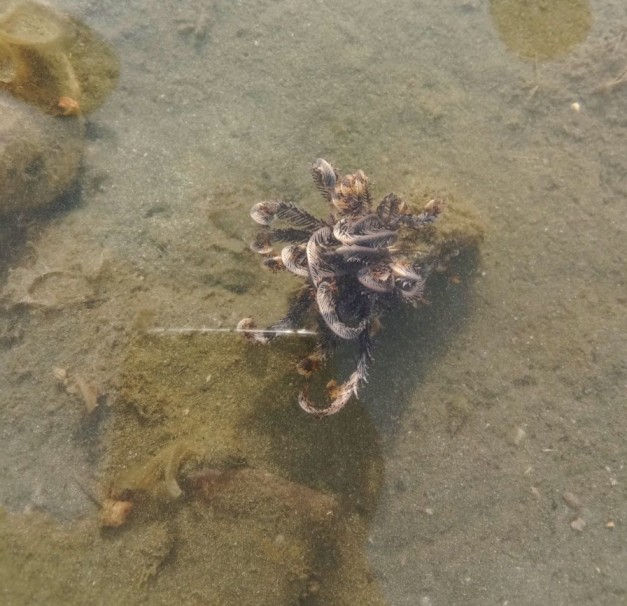 Beach Walking Desaru